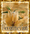 deconnexion