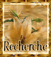 rechercher