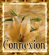 connexion