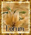 forum