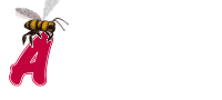 Alice.gif