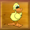 canard.png