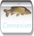 connexion.png