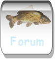 forum.png